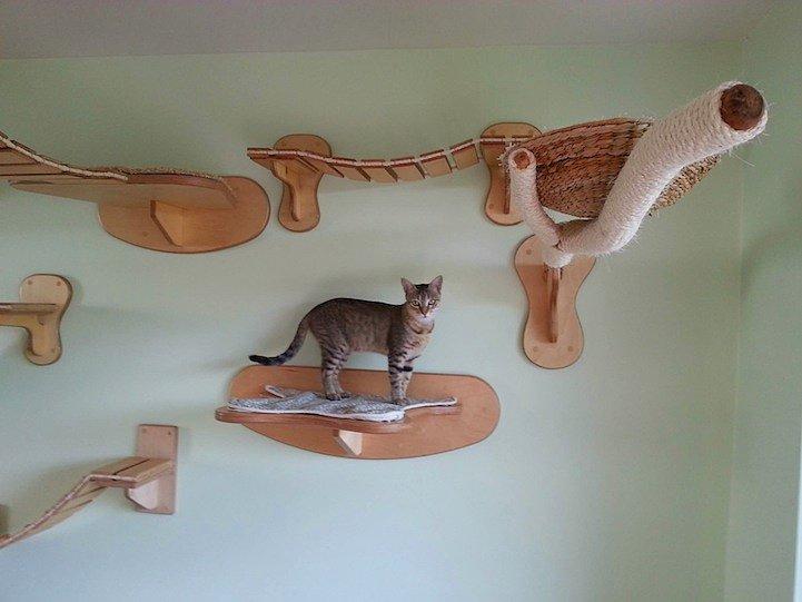 Ev Kedilerinin Rüyası, Kedi Parkuru Dekorasyonu