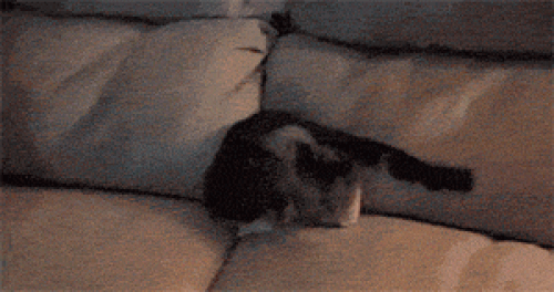 s-209b780f8d0587d18d8b1276aec98210d60b2b52.gif