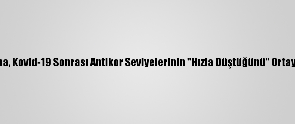 Araştırma Kovid 19 Sonrası Antikor Seviyelerinin Hızla Düştüğünü