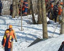 Japonya'da Parktan Kaçan Ayılar, 2 Kişiyi Parçaladı