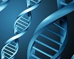 8 Bin Türk DNA'sı Rumlarda