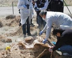 Konya'da Fidan Dikerken İnsan Kemikleri Buldular