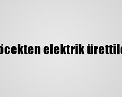 Böcekten elektrik ürettiler