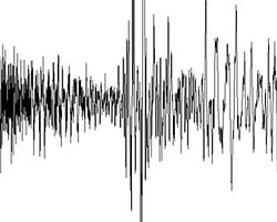 Meksika'da Deprem!