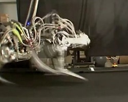 Pentagon'un 30Km/Saat Hızla Koşan Ürkütücü "Çita" Robotu