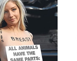 Peta’ya hayvanları öldürme suçlaması