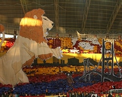 Arena'da bu kez...