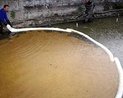 Sapanca Gölü'nde Büyük Bir Çevre Felaketinden Dönüldü
