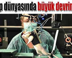 Felçli Fareler Tıpta Devrime Adım Attı
