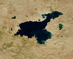 Van Gölü'nde Mucize!