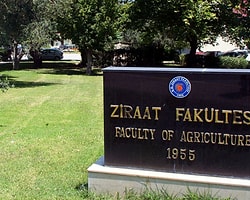 Ege Üniversitesi’nde Hintkeneviri Şoku