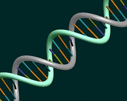 DNA Testinde Büyük Devrim