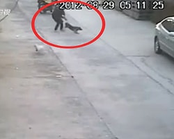Köpek hırsızından dehşete düşüren yöntem