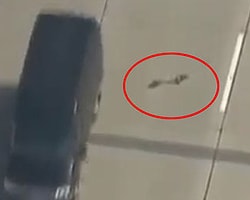 Ördek ailesi otobanda dehşeti yaşadı