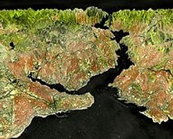 Dünyaya Açılan Pencere Zengin Çinli Türkiye'den Emlak Alır mı?