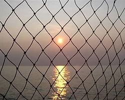 Karadeniz'de Balık Bitiyor