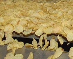 Şişmanlatmayan Cips Üretildi