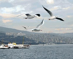 Otomobilsiz 1 Gün Diyenler Cumartesi Bağdat Caddesine