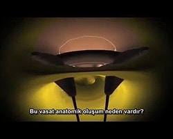 Su İçmeye Girdiler, 'Evi Soyup' Çıktılar