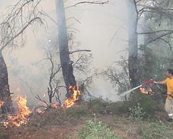 Keşan'da Orman Yangını