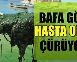 Bafa Gölü Kanser Oldu, Çürüyor!
