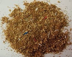 Bir Şehrin Umudu Tütün