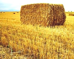İşte Zam Şampiyonu!