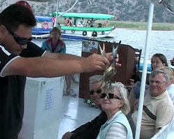 Mavi Yengecin De Soyunu Tüketiyoruz