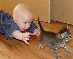 'Köpek Ve Kedi' Bebekler İçin Sağlık Kaynağı