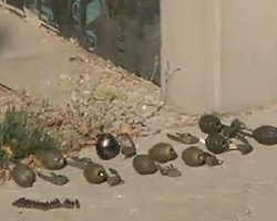 Ankara'da üst geçitte el bombası bulundu