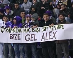 Alex kampanyası