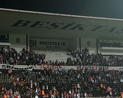 Son Söz Orman'da!