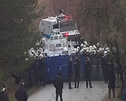 8 ODTÜ'lü serbest