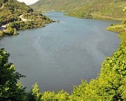 Barajlar 'Yeşil Kuşaklı' Olacak
