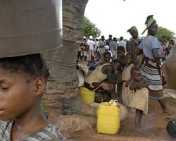Mozambik'te Aç Kalan Halk Ot ve Böcek Yiyor