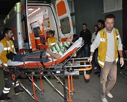 Bursa'da Pitbull Dehşeti