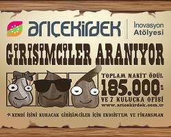 Arı Çekirdek'den Girişimcilere 185 Bin Tl'lik Fırsat!