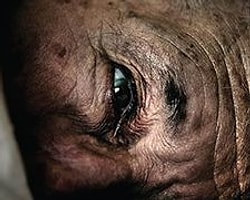 32. İstanbul Film Festivali'nin Afişi Hazır!