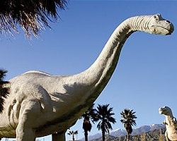 Bir Dinozorun Günü Kaç Saatti?