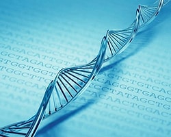 1 Gram Dna İçine 700 Terabayt Veri Kaydedildi