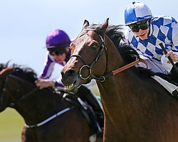 Al Kazeem - Tattersalls Gold Cup 2013