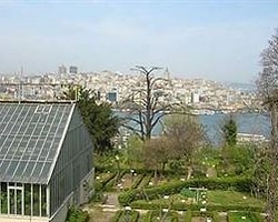 Botanik Bahçesi Müftülüğe Devrediliyor