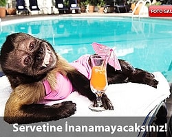 Hollywood'un Yeni Yıldızı