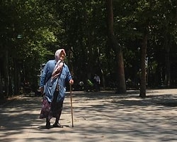 Abdullah Cömert'in Fidanı Hâlâ Gezi'de