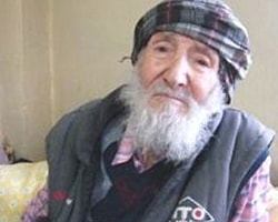 Asırlık Çınar Devrildi
