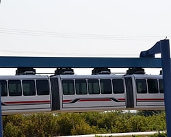 Yüzde 100 Yerli