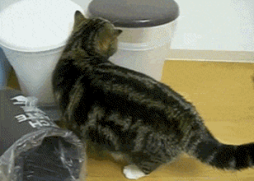 s-99fe6d87736bf0f926c7ccd198cf890641ccbb92.gif