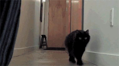 s-d5d897cb3cd0cd431b8b0669e510a147647bb2f0.gif
