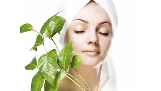 Sivilce Lekelerinden Bitkilerle Kurtulun