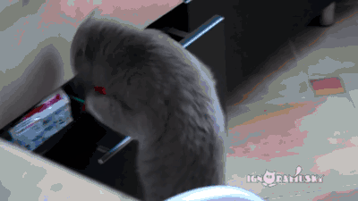 s-5e5ef7d0b6c7295a1693b6acf1c0a59ac94072b6.gif